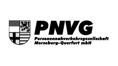 Logo PNVG